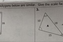 The pairs of polygons below are similar