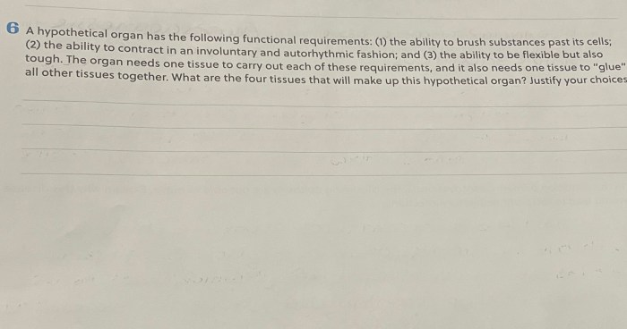 A hypothetical organ has the following functional requirements