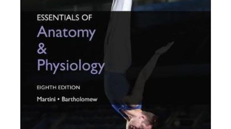 Essentials of anatomy and physiology 8th edition