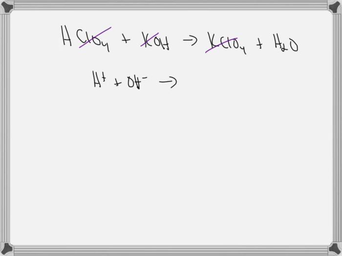 Perchloric acid and potassium hydroxide net ionic equation