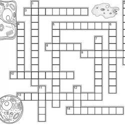 Cell structure crossword puzzle answer key pdf