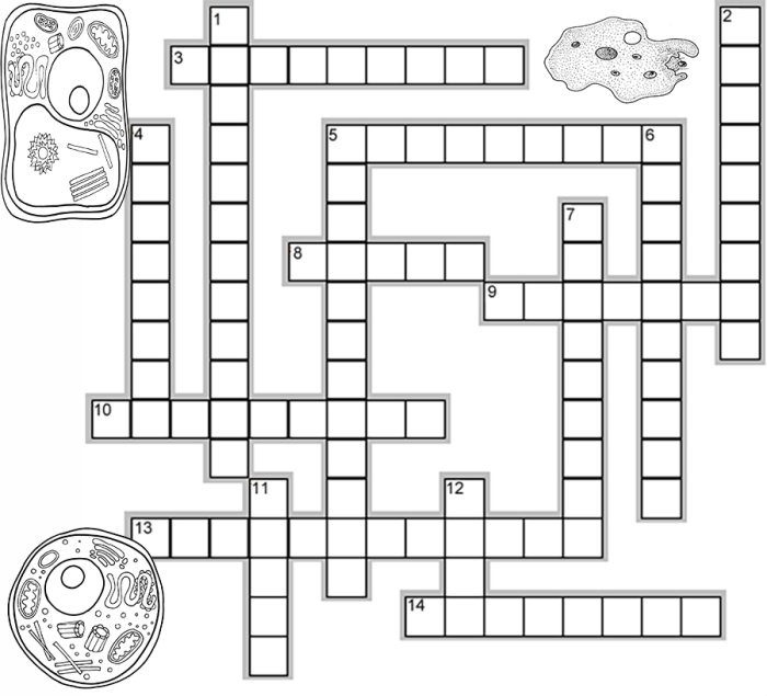 Cell structure crossword puzzle answer key pdf