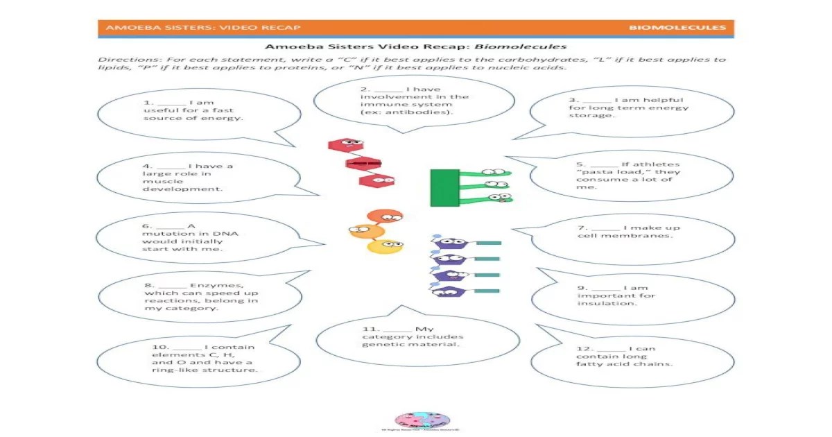 Amoeba sisters biomolecules worksheet answer key